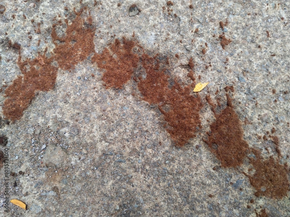 The spillage of black coffee grounds that begin to dry out looks very unique and interesting The spillage of black coffee grounds that begin to dry out looks very unique and interesting