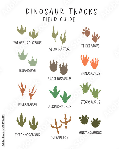 Dinosaur Tracks. Field Guide Poster, Educational Poster, Preschool Classroom Decor, Montessori Poster, Kids Playroom Decor