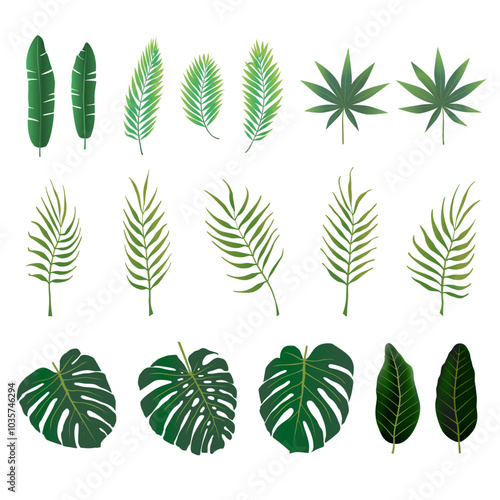 Green palm leaves on a white background. Vector set of curved branches. Leaves of various tropical trees, bending twigs. Vector illustration.