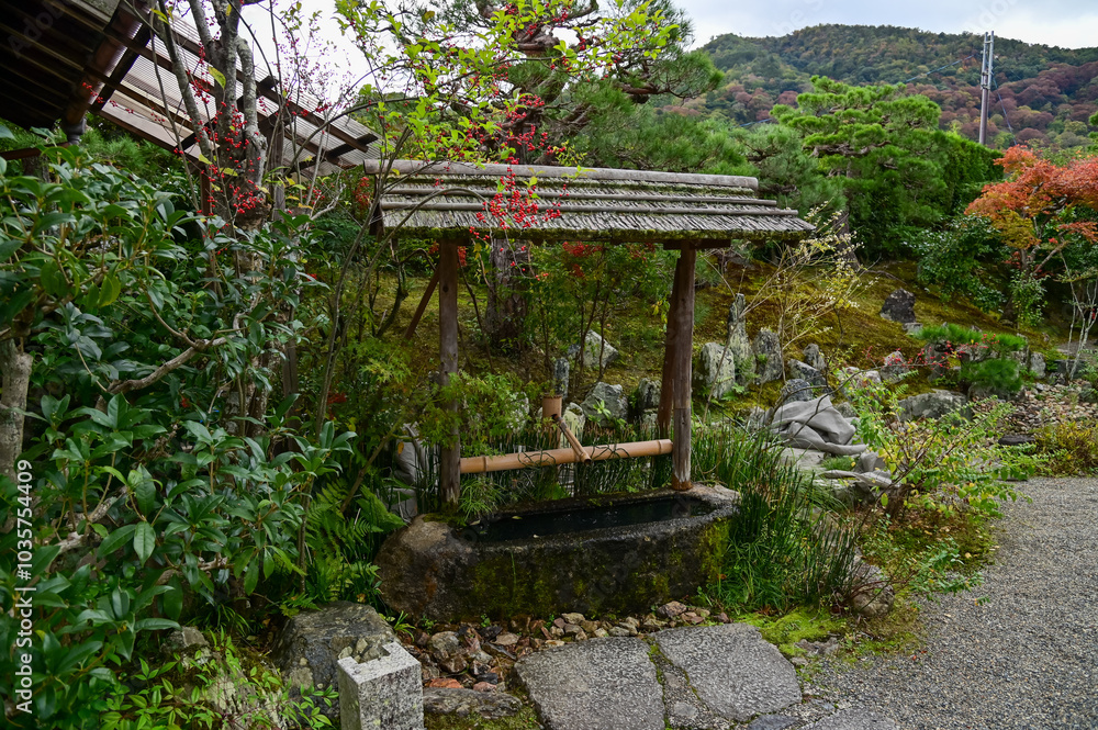 The gardern view of Nonomiya Shrine, Kyoto, Japan at autumn. A Shinto shrine in the Arashiyama district, close to its bamboo forest. Nature and travel concept. The gardern view of Nonomiya Shrine, Kyoto, Japan at autumn. A Shinto shrine in the Arashiyama district, close to its bamboo forest. Nature and travel concept.