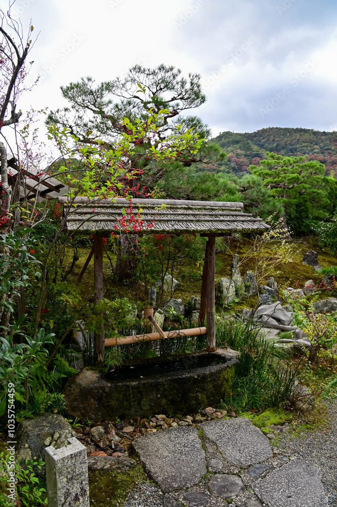 The gardern view of Nonomiya Shrine, Kyoto, Japan at autumn. A Shinto shrine in the Arashiyama district, close to its bamboo forest. Nature and travel concept. The gardern view of Nonomiya Shrine, Kyoto, Japan at autumn. A Shinto shrine in the Arashiyama district, close to its bamboo forest. Nature and travel concept.