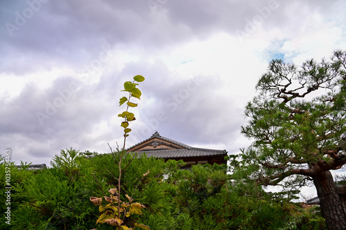 The gardern view of Nonomiya Shrine, Kyoto, Japan at autumn. A Shinto shrine in the Arashiyama district, close to its bamboo forest. Nature and travel concept.  photo