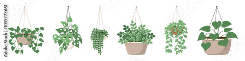 Houseplant with small leaves on branches in ceramic brown pot on pendant. Flat style. Vector illustration.