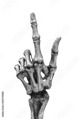 Realistic Bone Hand Gesture with Pointing Finger on Transparent Background - Made with Generative AI