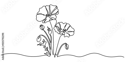 continuous single line drawing of red wild flower, colored corn poppy line art vector illustration, One line poppy flower drawing, Poppies outlines for coloring, Botanical arts. Hand drawn continuous