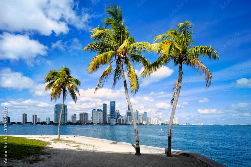 the skyline of miami with palm trees, florida