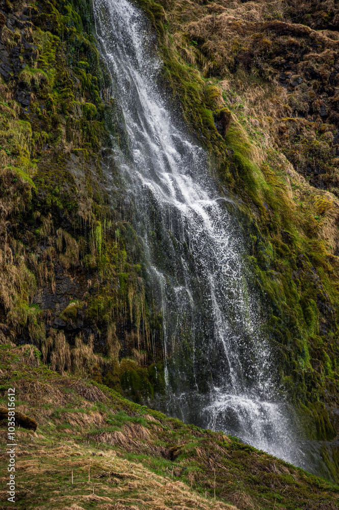 nature sceneries in the area surrounding the Seljalandsfoss waterfall, Iceland nature sceneries in the area surrounding the Seljalandsfoss waterfall, Iceland