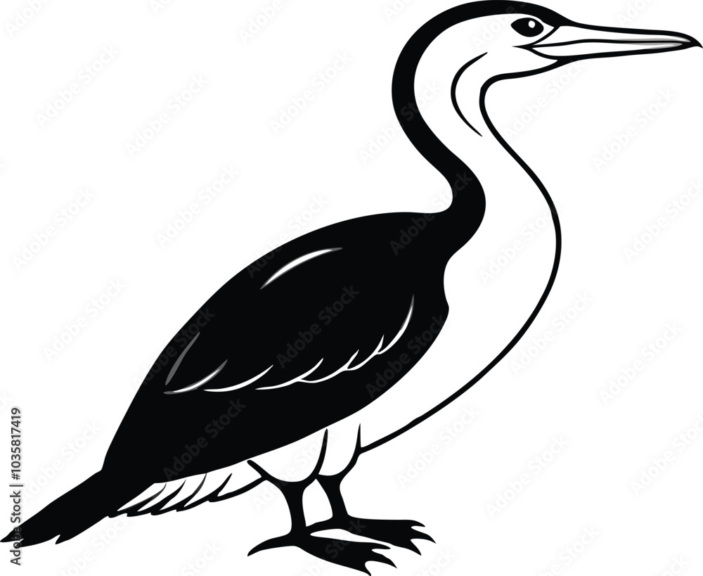 Fototapeta premium cormorant silhouette vector illustration.