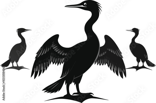 cormorant silhouette vector illustration.