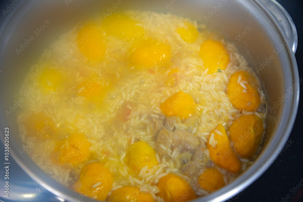 Traditional Brazilian dish rice, chicken and pequi (caryocar brasileinse) known as galinhada goiana Traditional Brazilian dish rice, chicken and pequi (caryocar brasileinse) known as galinhada goiana