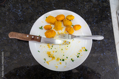 Traditional Brazilian dish rice, chicken and pequi (caryocar brasileinse) known as galinhada goiana photo