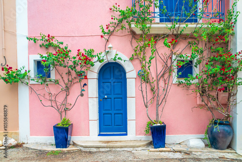 Fototapeta Naklejka Na Ścianę i Meble -  door with flowers