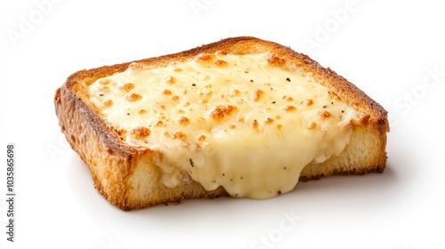 A single slice of toasted bread with melted cheese on top.