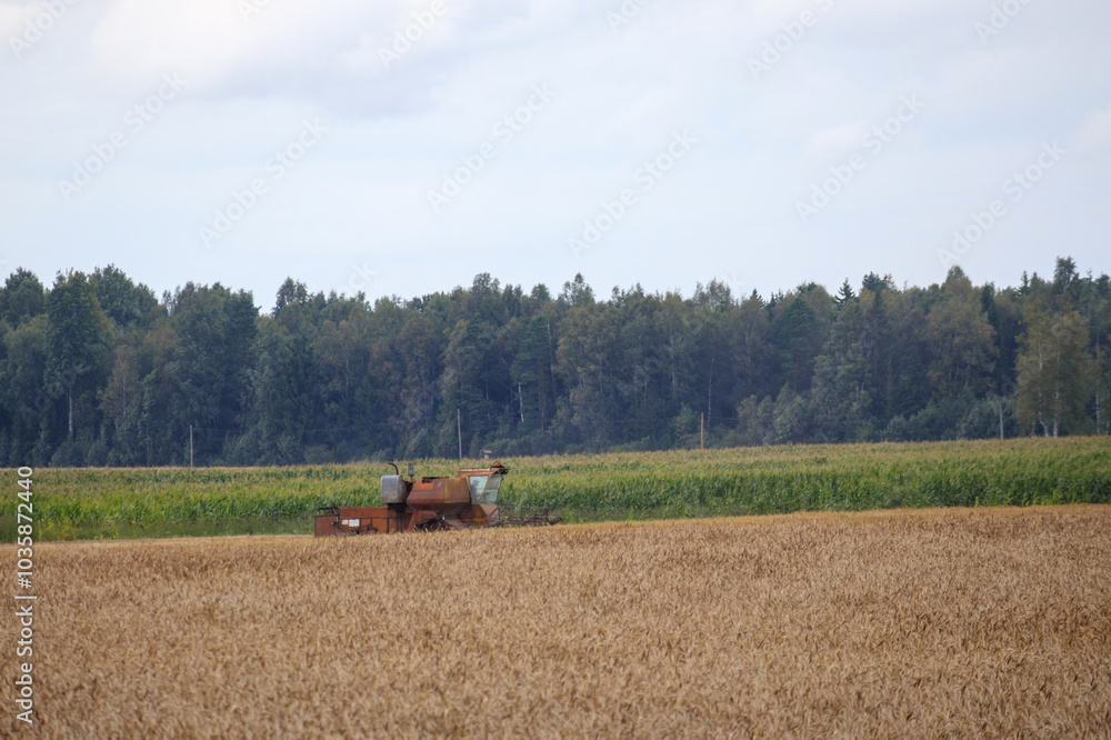 Obraz premium a farmer working in a corn field with a combine harvester