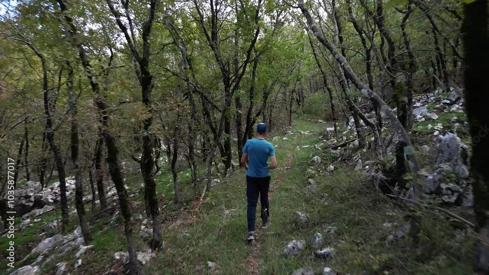 Young man walking alone along a path through a sunny forest and enjoying the views of nature Young man walking alone along a path through a sunny forest and enjoying the views of nature