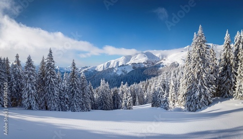 Wallpaper Mural winter mountain landscape with snow covered trees Torontodigital.ca