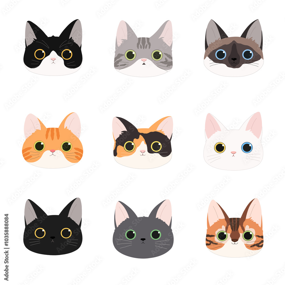 Fototapeta premium set of cats