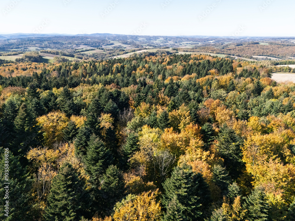 Aerial view of a vibrant forest showcasing a rich tapestry of green and autumnal colors on a sunny day. Perfect for nature lovers and outdoor enthusiasts. Aerial view of a vibrant forest showcasing a rich tapestry of green and autumnal colors on a sunny day. Perfect for nature lovers and outdoor enthusiasts.