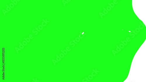 White liquid transition on Green screen background. Simple cartoon fluid motion 4K animation 
