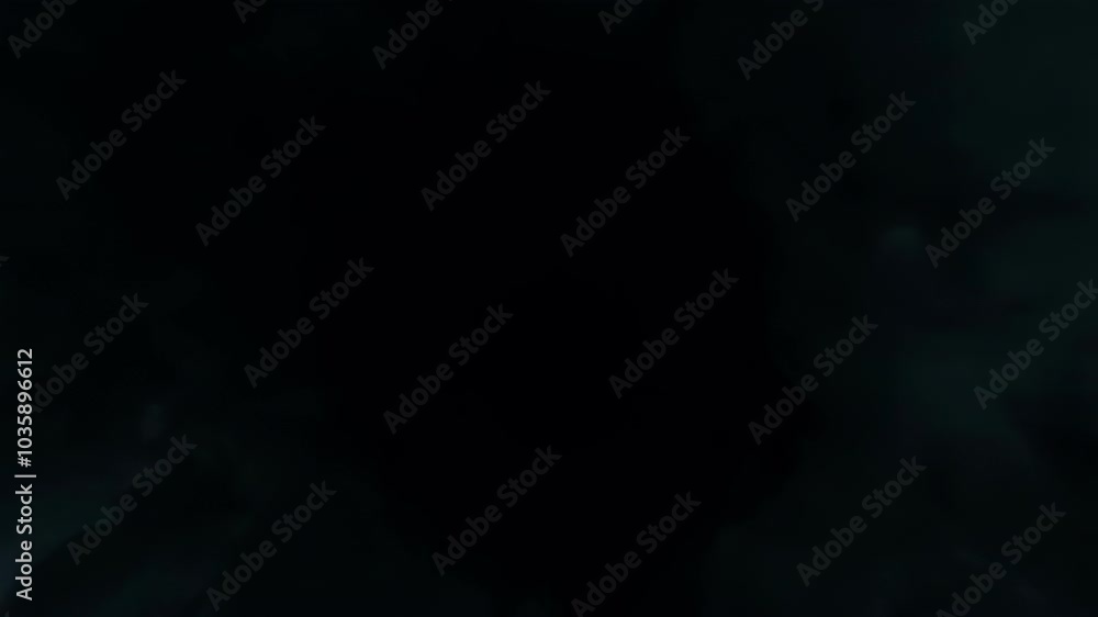 An abstract black screen, offering a blank and neutral space for potential text or design overlays. Ideal for copy space or creative editing use. An abstract black screen, offering a blank and neutral space for potential text or design overlays. Ideal for copy space or creative editing use.