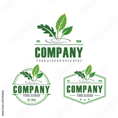 hydroponic logo , nature garden logo