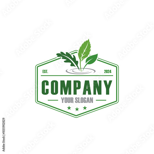 hydroponic logo , nature garden logo