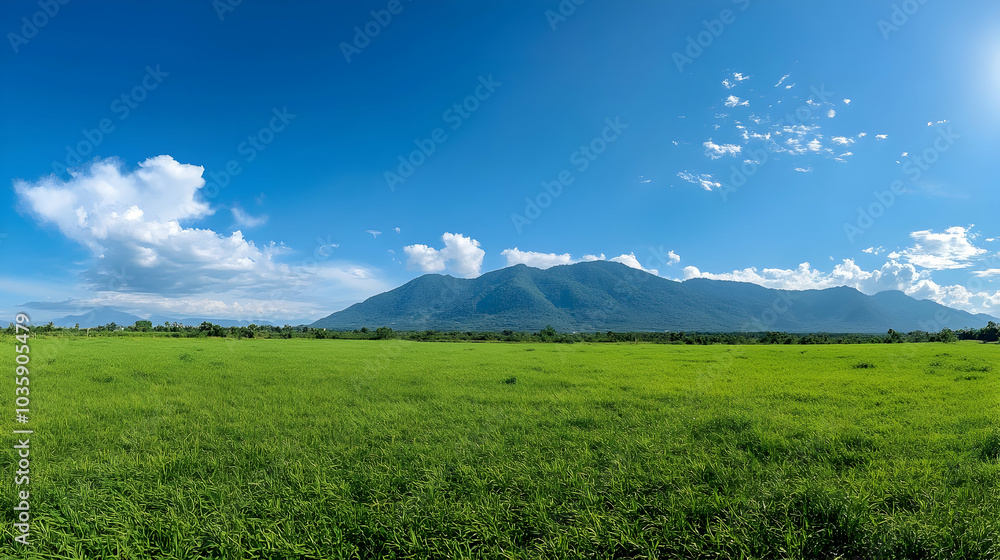 Panoramic view of a green field with mountains in the background and a bright blue sky - Panoramic view of a green field with mountains in the background and a bright blue sky -