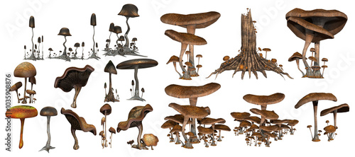 Fototapeta Naklejka Na Ścianę i Meble -  3D render of different kind and shape mushrooms isolated illustration