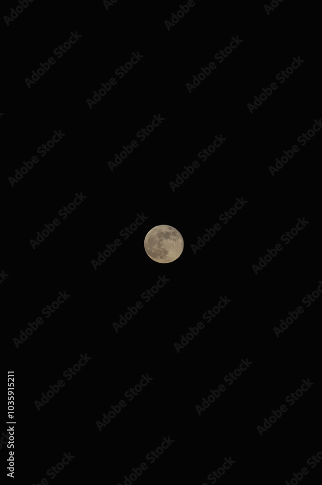 white gray full moon rising white gray full moon rising