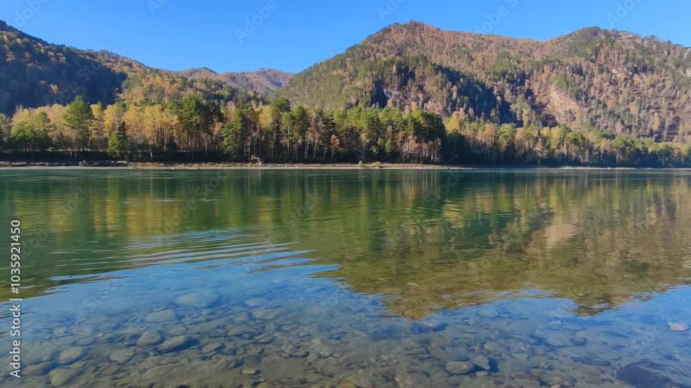mirror surface of the river reflecting the sky with transparent water and clear shallow bed, surrounded by lush greenery in a quiet secluded area, offering peaceful, calming solitude. mirror surface of the river reflecting the sky with transparent water and clear shallow bed, surrounded by lush greenery in a quiet secluded area, offering peaceful, calming solitude.