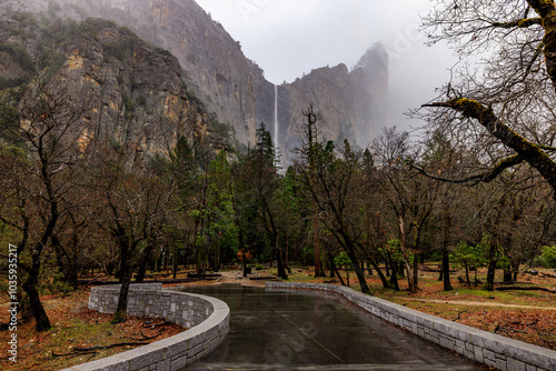 Rainy forest scene with granite cliffs and waterfall in the background