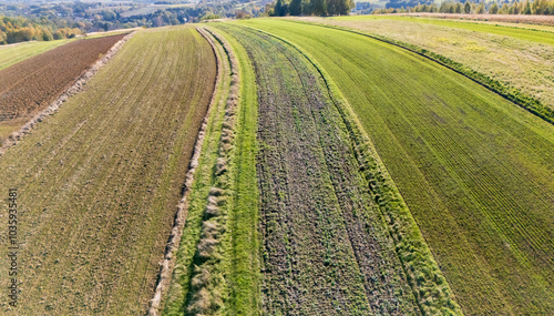 Obraz na płótnie Aerial view of vibrant farmland with green and brown fields transitioning smoothly in a picturesque landscape w salonie