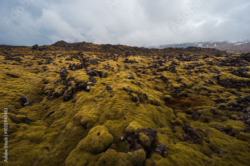 nature sceneries inside the Djupalonssandur beach on the Snaefellsnes Peninsula, Iceland photo