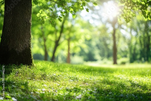 Beautiful blurred background of natural greenery and trees in the park on a sunny day with a bokeh effect, a blurred nature spring or summer background for design Generative AI