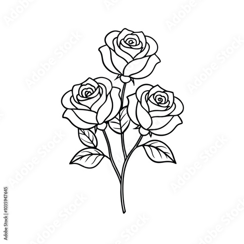 Roses Outline on White Background