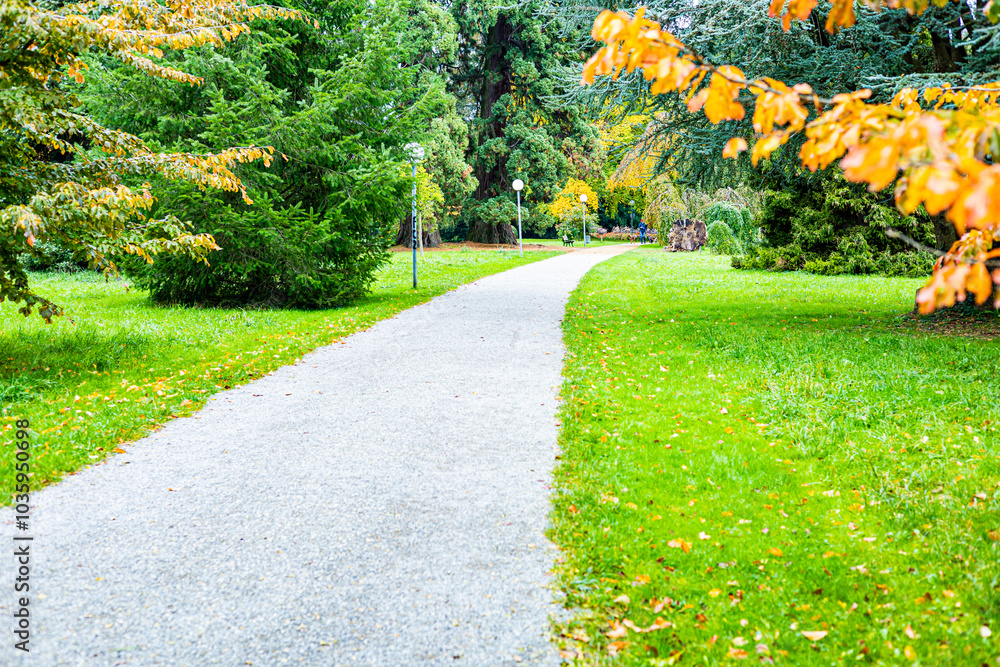 Obraz premium A Path in the Park on the Autumn