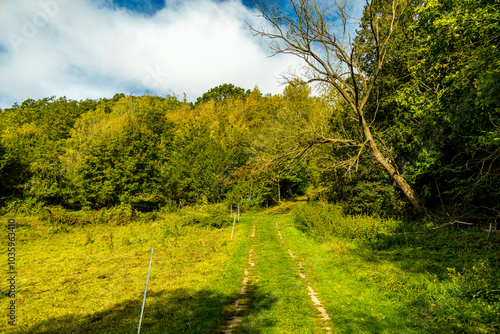 Unterwegs an der Landesgrenze zwischen Hessen und Thüringen im wunderschönen Eichsfeld zur Burg Hanstein bei Bornhagen - Thüringen - Deutschland photo