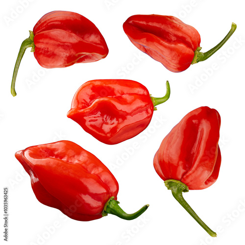 Vibrant fresh red habanero peppers