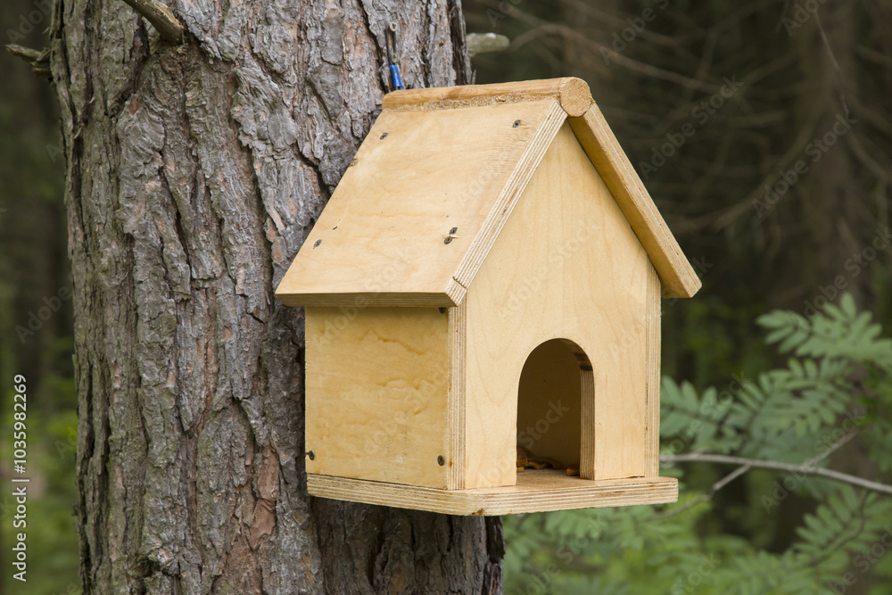 Bird feeder in the park. Feeding birds in the park. Bird feeder in the park. Feeding birds in the park.