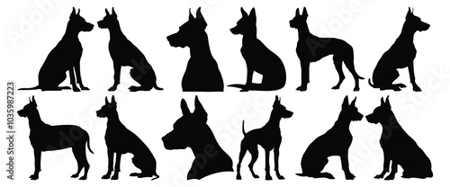 Doberman silhouettes set, dog pack of vector silhouette design, isolated background