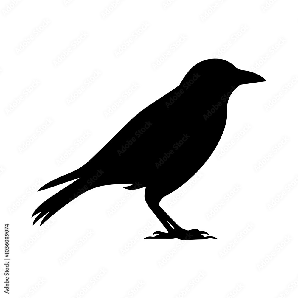 Obraz premium Black silhouette of a Crow vector illustration