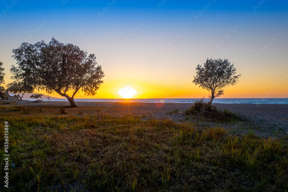 Obraz premium Sunset View Over the Beach With Silhouetted Trees Near the Shore at Golden Hour