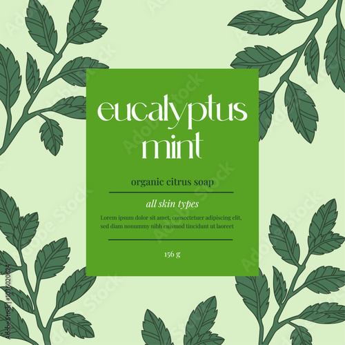 Eucalyptus Mint Soap. Packaging Design. Pattern Layout