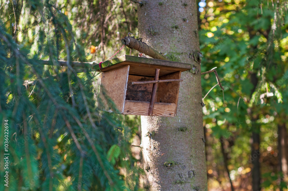 Wooden feeder at the green forest . Wooden feeder at the green forest .