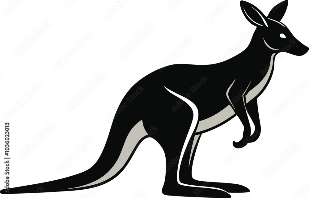 kangaroo illustration vector kangaroo illustration vector