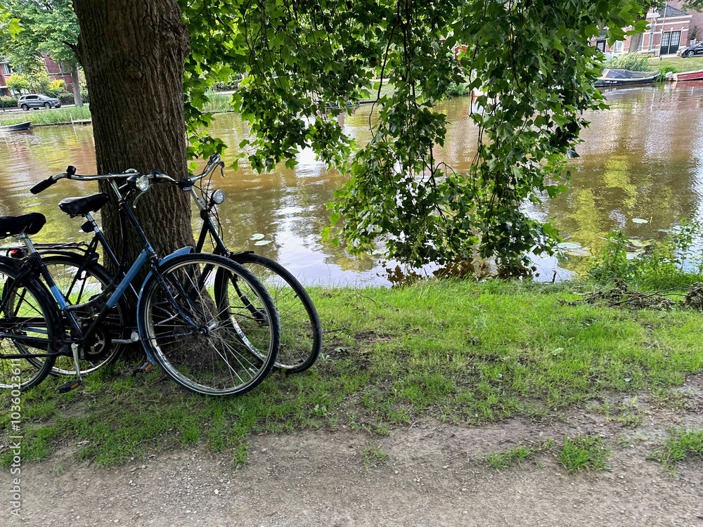 Bicycles parked at tree near canal outdoors Bicycles parked at tree near canal outdoors