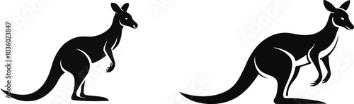 kangaroo illustration vector 