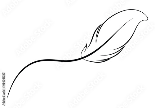 Continuous Line Art of a Floating Feather – Elegant Minimalist Vector