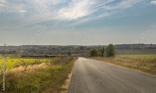 A road with a few trees in the background