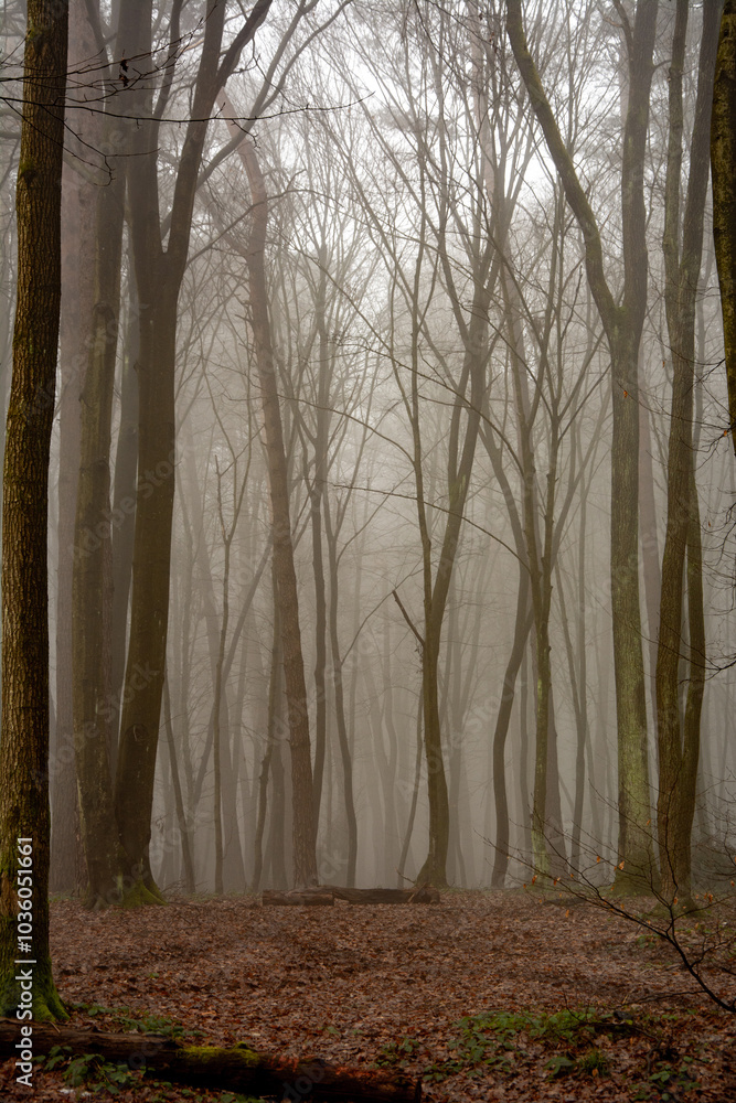 Naklejka premium High-quality image with thoughtful composition and attention to detail. Perfect for use in design projects, web design, advertising campaigns, social media, or print materials. This photo is versatile